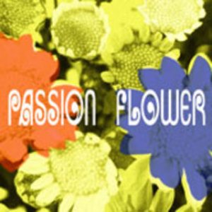 T-Square - Passion Flower cover art