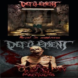 Defilement - Revel in Madness cover art