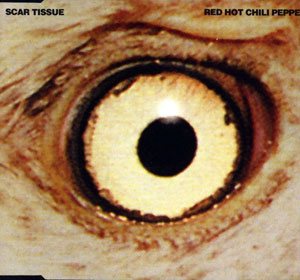 Red Hot Chili Peppers - Scar Tissue cover art