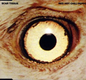 Red Hot Chili Peppers - Scar Tissue cover art Red Hot Chili Peppers - Scar Tissue cover art