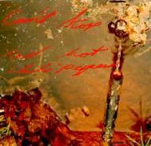Red Hot Chili Peppers - Can't Stop cover art Red Hot Chili Peppers - Can't Stop cover art