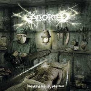 Aborted - The Archaic Abattoir cover art