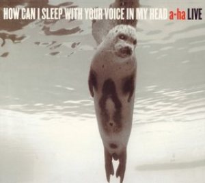 A-ha - How Can I Sleep With Your Voice in My Head cover art