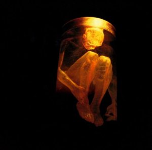 Alice in Chains - Nothing Safe: Best of the Box cover art