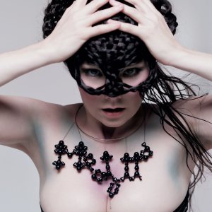 Björk - Medúlla cover art