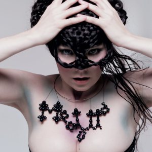 Björk - Medúlla cover art Björk - Medúlla cover art