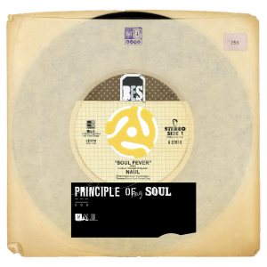 나얼 (Naul) - Principle of My Soul cover art