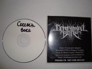 Cerebral Bore - 24 Year Party Dungeon cover art