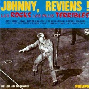 Johnny Hallyday - Les rocks les plus terribles cover art