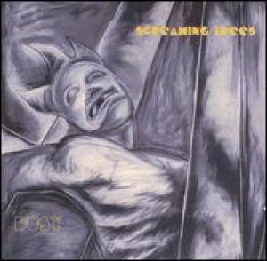 Screaming Trees - Dust cover art