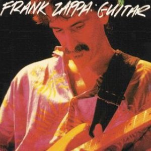 Frank Zappa - Guitar cover art