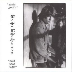 Sonic Youth - Hold That Tiger cover art
