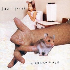 Sonic Youth - A Thousand Leaves cover art