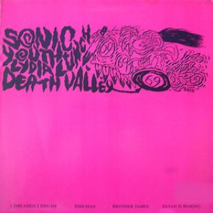 Sonic Youth - Death Valley '69 cover art