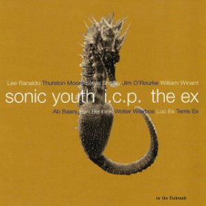Sonic Youth - In the Fishtank 9 cover art