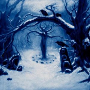 Sombres Forêts - Royaume de Glace cover art
