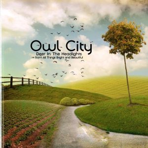 Owl City - Deer in the Headlights cover art