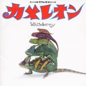 Whiteberry - カメレオン cover art