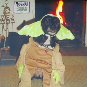 Mogwai - Travel Is Dangerous cover art