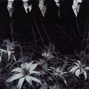 Dir en grey - ain't afraid to die cover art