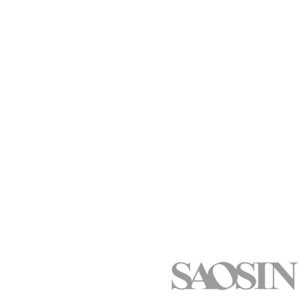 Saosin - Translating the Name cover art