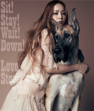 安室奈美恵 - Sit! Stay! Wait! Down!/Love Story cover art