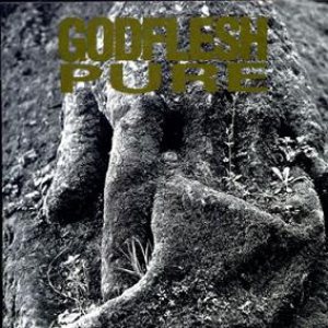 Godflesh - Pure cover art