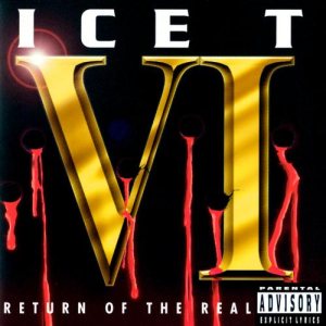 Ice-T - VI: Return of the Real cover art