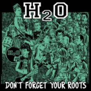 H2O - Don't Forget Your Roots cover art