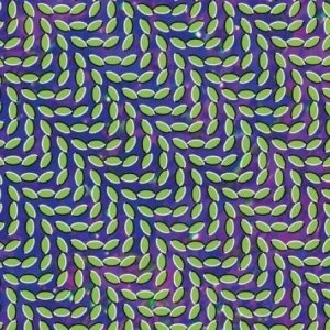 Animal Collective - Merriweather Post Pavilion cover art