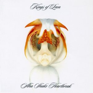 Kings of Leon - Aha Shake Heartbreak cover art