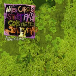 Animal Collective - Water Curses cover art