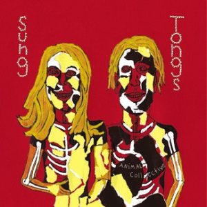 Animal Collective - Sung Tongs cover art