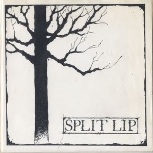 Split Lip - Soul Kill cover art