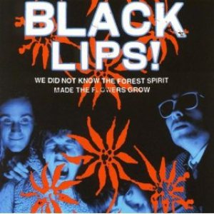 Black Lips - We Did Not Know the Forest Spirit Made the Flowers Grow cover art