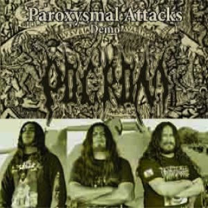 Pogrom - Paroxysmal Attack cover art