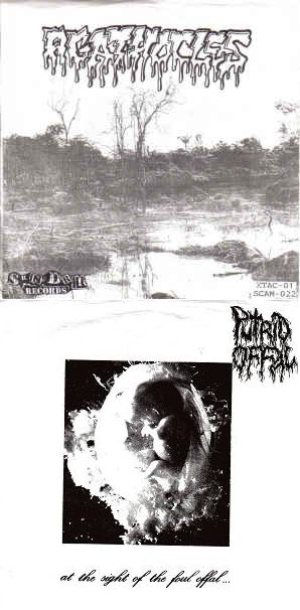 Putrid Offal / Agathocles - At the Sight of the Foul Offal... / Untitled cover art