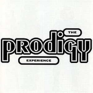 The Prodigy - Experience cover art