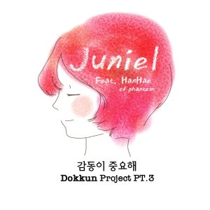 Juniel - Dokkun Project Pt.3 cover art