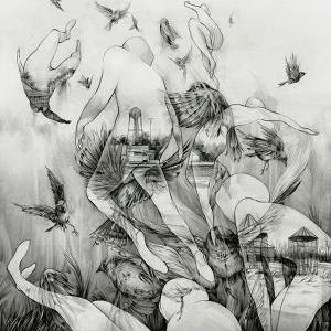 Mono - The Last Dawn cover art