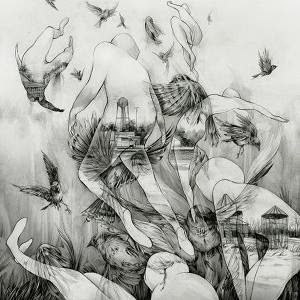 Mono - The Last Dawn cover art Mono - The Last Dawn cover art