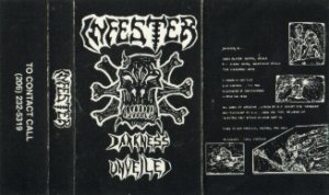 Infester - Darkness Unveiled cover art