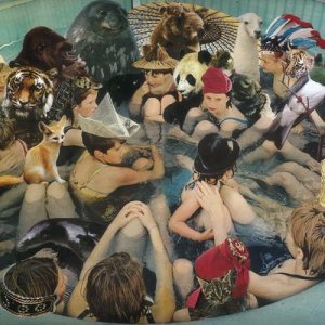 Panda Bear - Person Pitch cover art