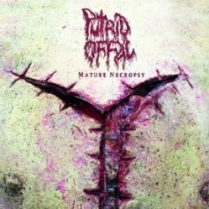 Putrid Offal - Mature Necroposy cover art