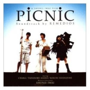 Remedios - Picnic cover art