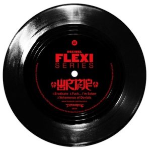 Wormrot - Decibel Flexi Series cover art