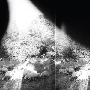 Godspeed You! Black Emperor - Asunder, Sweet and Other Distress cover art