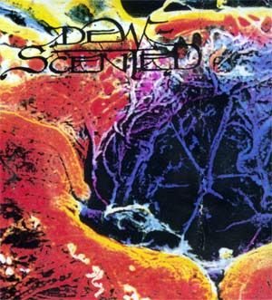 Dew-Scented - Symbolization cover art