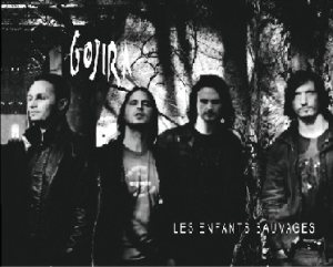 Gojira - Les enfants sauvages cover art