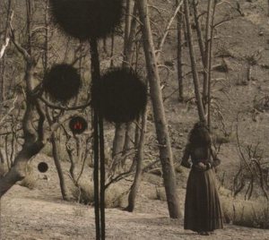 Isis - Not in Rivers, but in Drops cover art Isis - Not in Rivers, but in Drops cover art